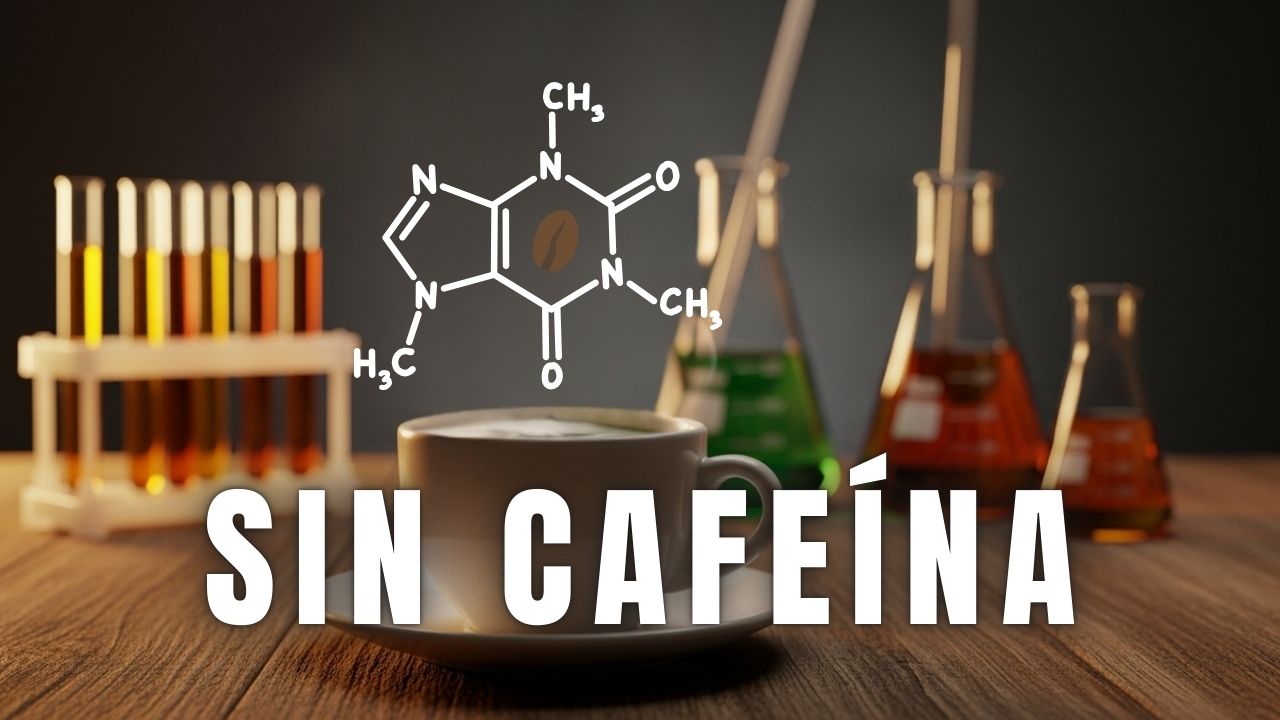 sin cafeína